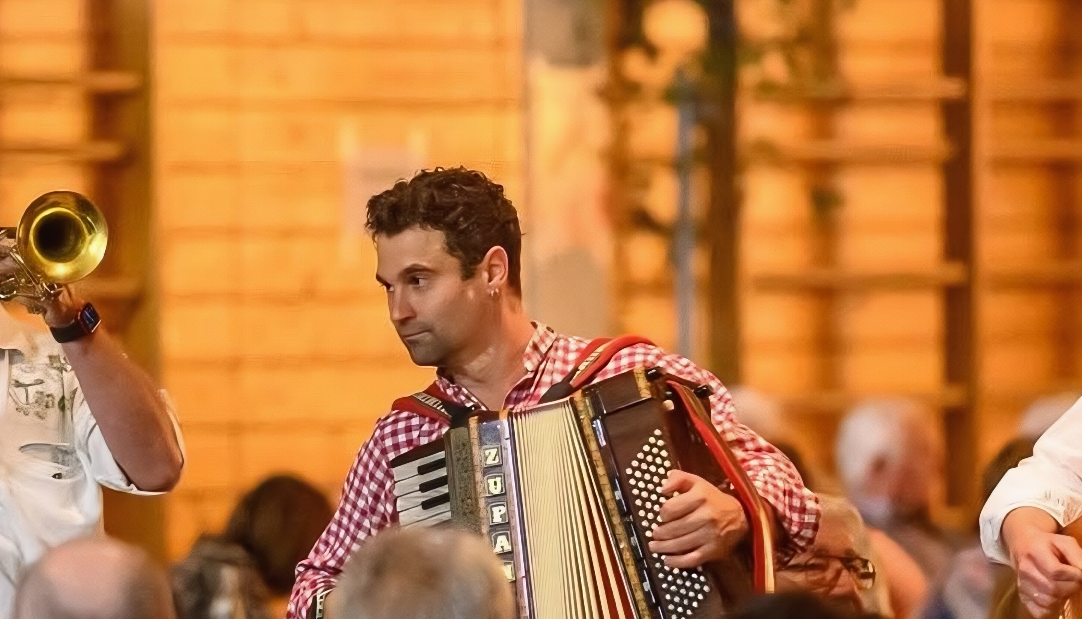 Stefan Polster Performing